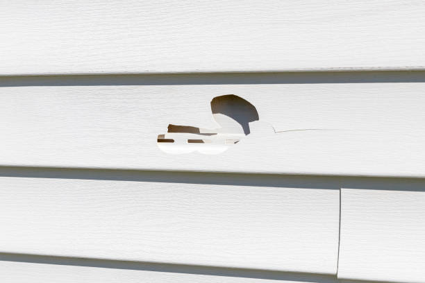 Affordable Siding Repair and Maintenance Services in Finneytown, OH